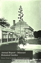 Annual report
