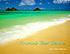 America's best beaches by  Stephen P Leatherman 