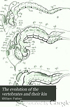 The evolution of the vertebrates and their kin.