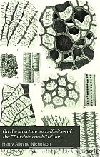 On the structure and affinities of the 
