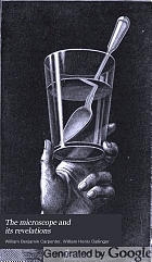 The microscope and its revelations