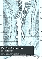 The American journal of anatomy.