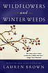 Wildflowers and winter weeds