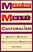 Mapping multiculturalism 著者： Avery Gordon