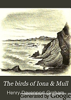 The birds of Iona & Mull