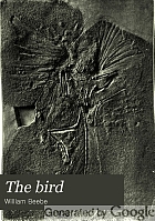 The bird, its form and function,