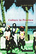 Culture in practice : selected essays