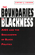 The boundaries of blackness : AIDS and the breakdown of Black politics