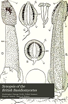 Synopsis of the British Basidiomycetes : a descriptive catalogue of the drawings and specimens in the Department of Botany, British Museum