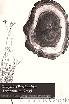 Guayule (Parthenium argentatum Gray), a rubber-plant of the Chihuahuan Desert,