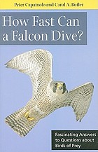 How fast can a falcon dive? : fascinating answers... by Peter Capainolo