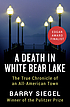 A death in White Bear Lake : the true chronicle of an all-american town