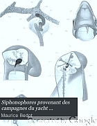 Siphonophores provenant des campagnes du yacht Princesse-Alice (1892-1902)