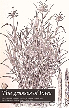 The grasses of Iowa.