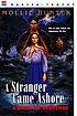 A stranger came ashore : a story of suspense