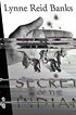 The secret of the Indian de Lynne Reid Banks