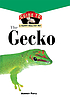 The Gecko by  Audrey Pavia 