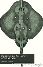 Supplement to the History of British fishes