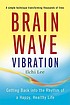 Brain wave vibration : getting back into the rhythm of a happy, healthy life