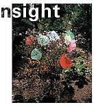 In sight : contemporary Dutch photography from the collection of the Stedelijk Museum, Amsterdam