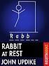 Rabbit at rest por John Updike