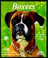 Boxers : everything about purchase, care, nutrition,... de Johanna Thiel