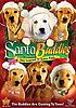 Santa Buddies : the legend of Santa Paws by Anna McRoberts