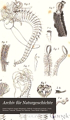 Archiv für Naturgeschichte.
