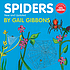 Spiders