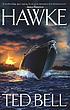 Hawke : a novel von Ted Bell