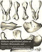 Hitherto unpublished plates of Tertiary Mammalia and Permian Vertebrata,
