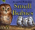 Small babies de Jacqueline McQuade