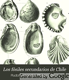 Los fósiles secundarios de Chile,