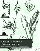 Annales du Muséum d'histoire naturelle.