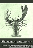 Elementary entomology,