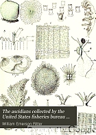The ascidians collected by the United States fisheries bureau steamer Albatross on the coast of California during the summer of 1904,