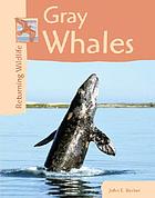 Gray whales