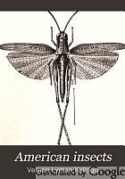 American insects,