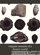 Organic remains of a former world, an examination of the mineralized remains of the vegetables and animals of the antediluvian world; generally termed extraneous fossils.
