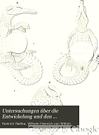 Untersuchungen über die Entwickelung und den Körperbau der Krokodile