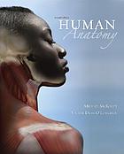 Human anatomy