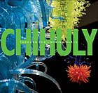 Chihuly : through the looking glass