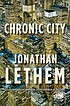 Chronic city : a novel