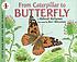 From caterpillar to butterfly 著者： Deborah Heiligman