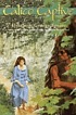 Calico Captive door Elizabeth George Speare
