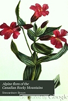 Alpine flora of the Canadian Rocky Mountains.