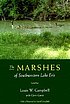 The marshes of southwestern Lake Erie door Louis W Campbell