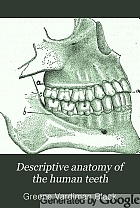 Descriptive anatomy of the human teeth.