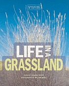 Life in a grassland