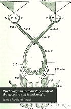Psychology; an introductory study of the structure and function of human consciousness.